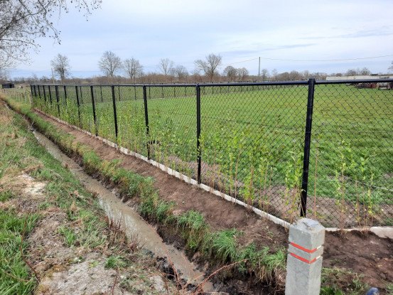 Tuinwerken - Reumers Groen, Bocholt